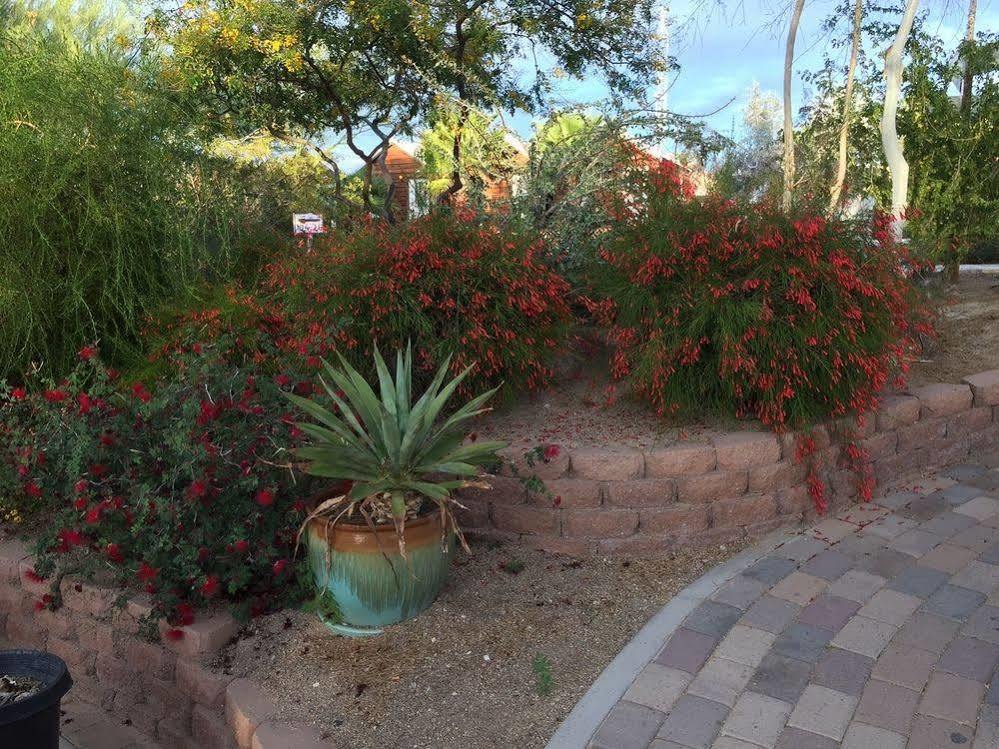 La Siesta Motel & Rv Resort Ajo Exterior foto
